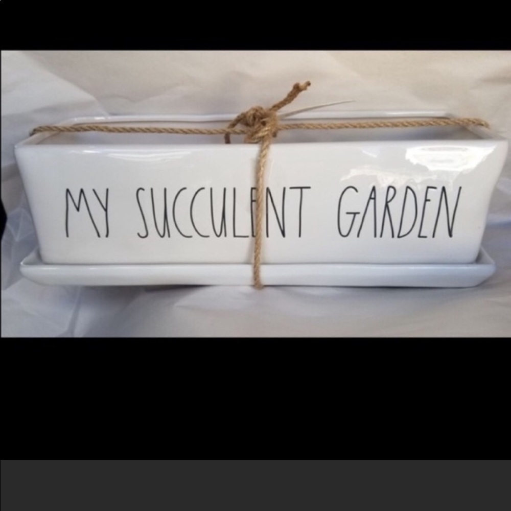 Succulent garden